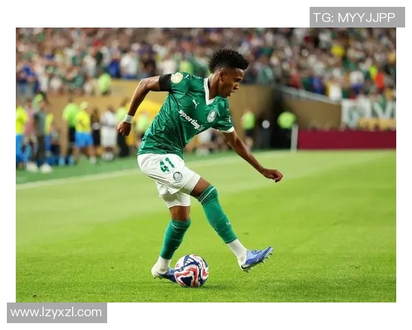 探索埃斯特旺的魅力与历史深入了解这座城市的文化与风俗